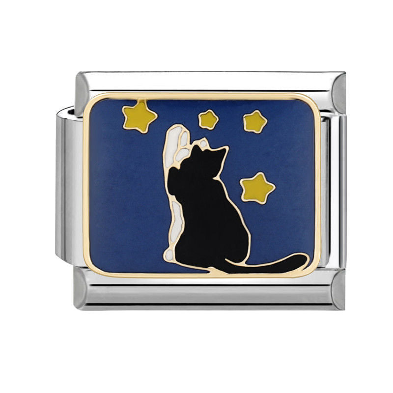 Gato bajo las estrellas