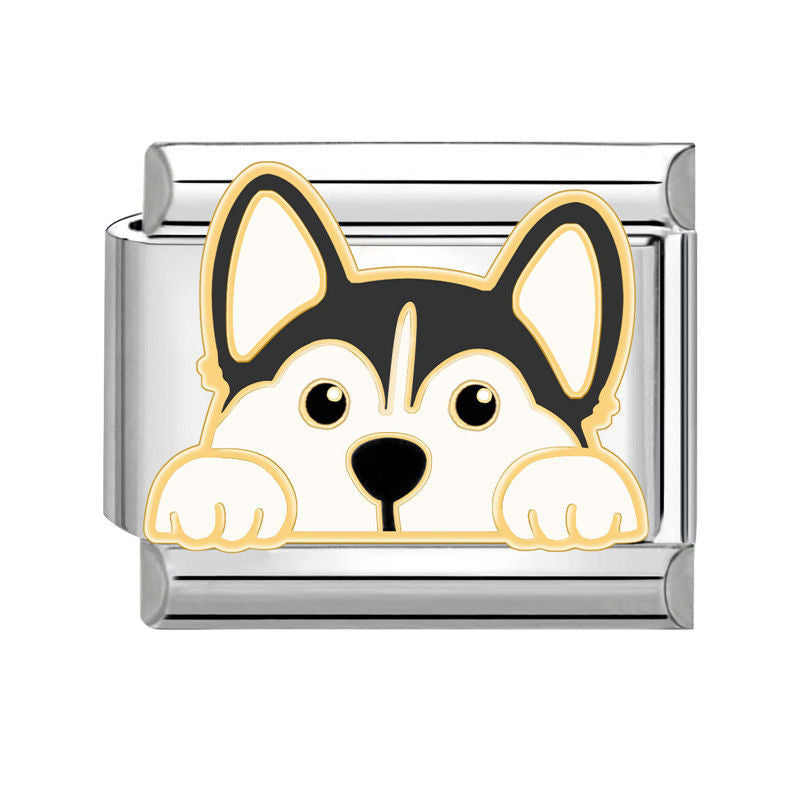 Husky asomando