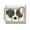 Perrito border collie