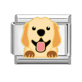 Perrito labrador feliz