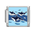 Orcas nadando