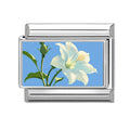Lirio blanco