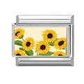 Girasoles