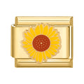 Girasol