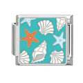 Estrellas de mar y conchas turquesa