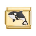 Orca