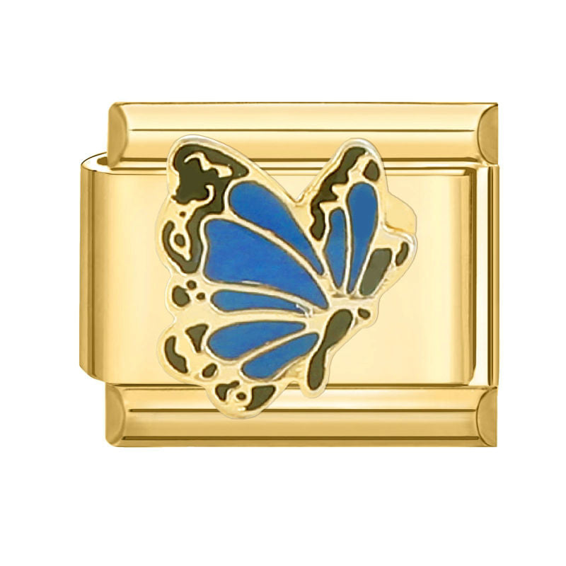 Mariposa azul