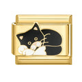 Gato tumbado blanco y negro