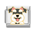 Perrito schnauzer gris y blanco
