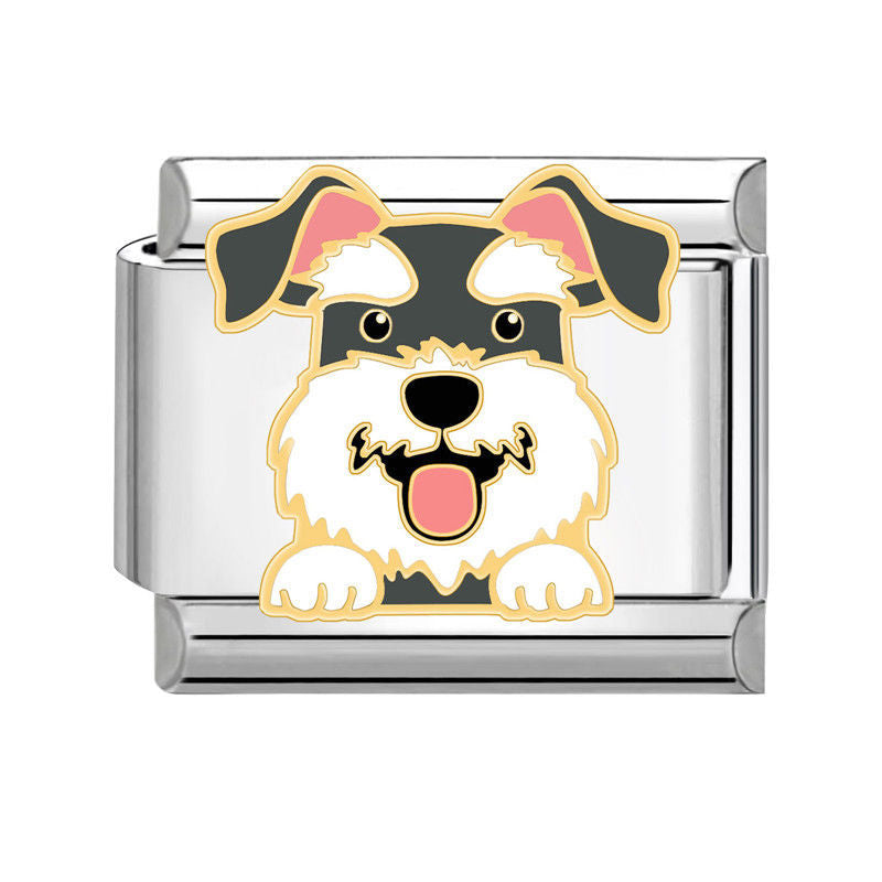 Perrito schnauzer gris y blanco