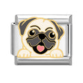 Perrito pug