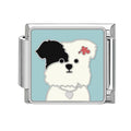 Perrito blanco y negro con collar de corazón