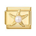 Estrella de mar con perla