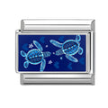 Tortugas marinas azules