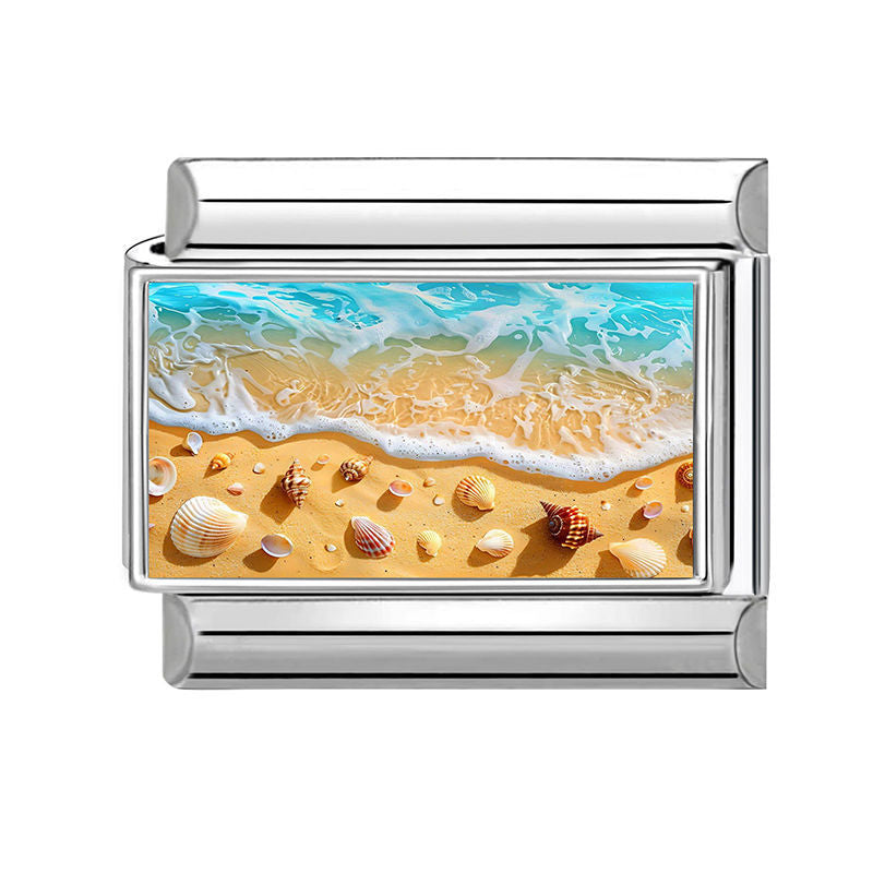 Conchas en la playa