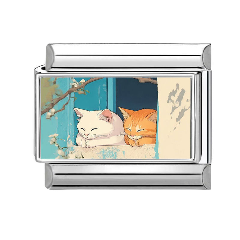 Gatos blanco y naranja en la ventana