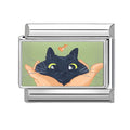 Gato negro sujetado con manos