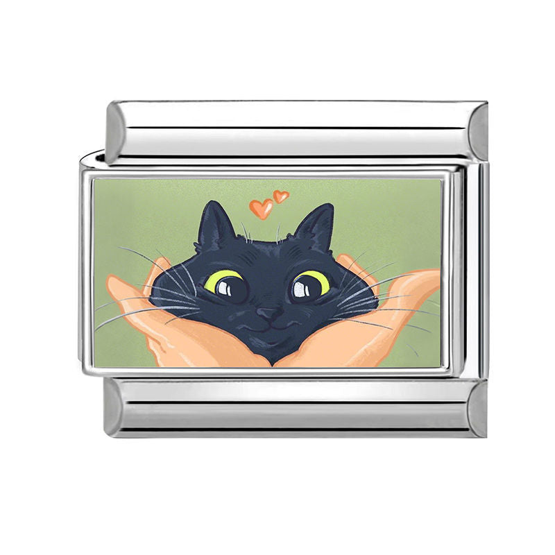 Gato negro sujetado con manos
