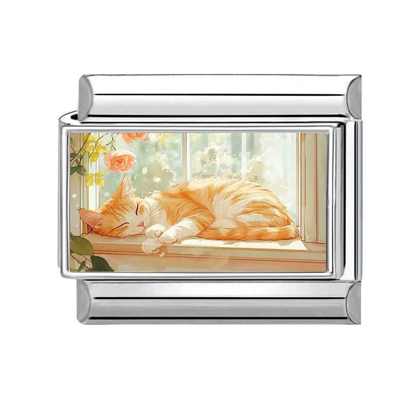 Gato durmiendo en ventana con rosas
