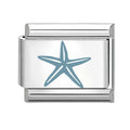 Estrella de mar
