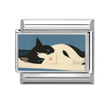 Gato blanco y negro tumbado