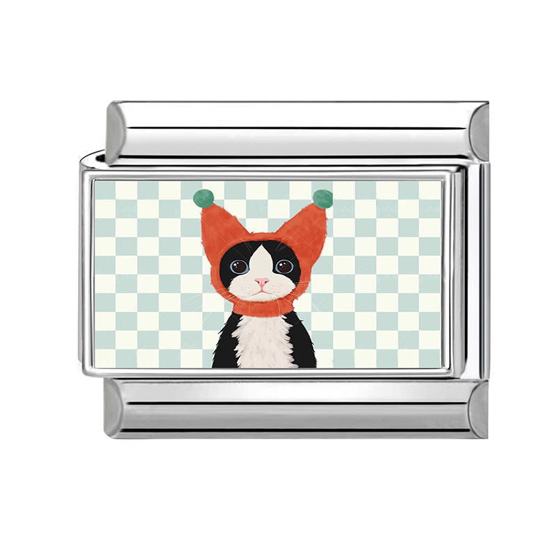 Gato con gorro de lana