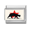 Gato negro con estrella roja