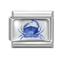 Cangrejo azul