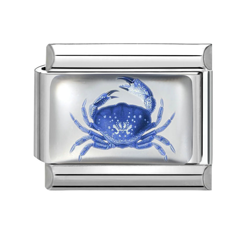 Cangrejo azul