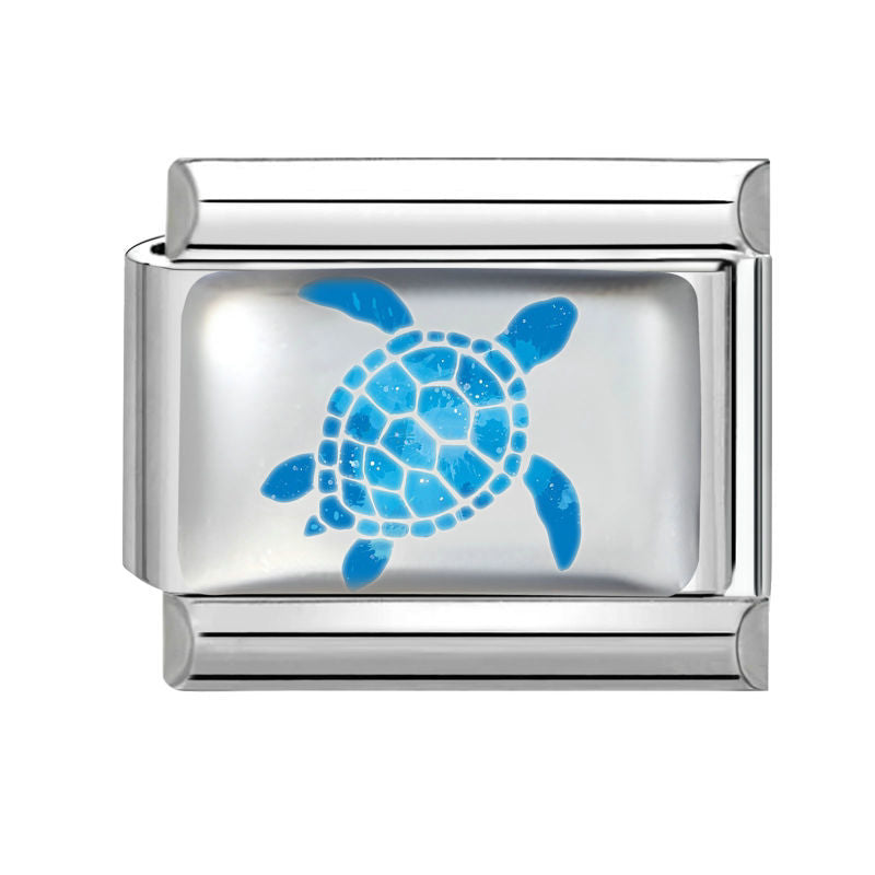 Tortuga azul