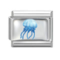 Medusa azul