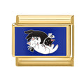 Dos gatos abrazados
