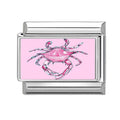 Cangrejo rosa