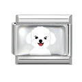 Perro blanco esponjoso