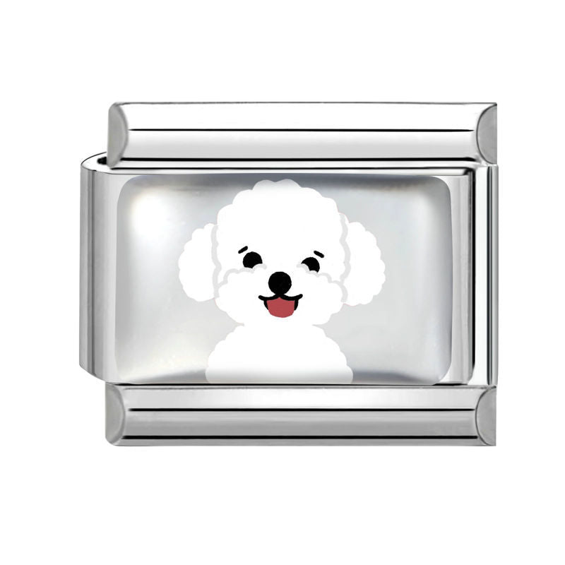 Perro blanco esponjoso