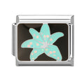 Estrella de mar turquesa