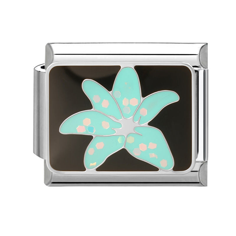 Estrella de mar turquesa