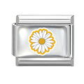 Margarita blanca