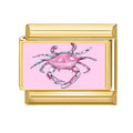 Cangrejo rosa