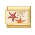 Estrellas de mar rojas y doradas