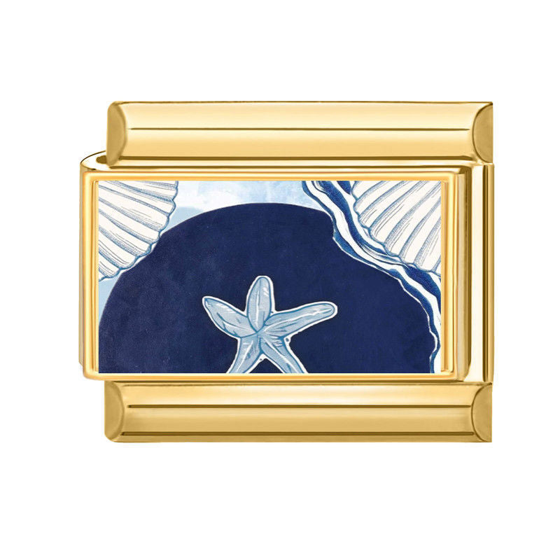 Estrella de mar azul entre conchas