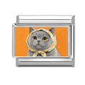 Gato gris con pañuelo naranja
