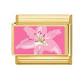 Flor rosa detallada