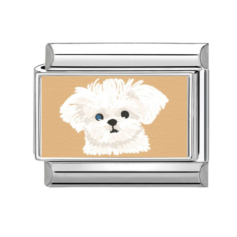 Perro maltés blanco