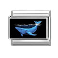 Ballena en la noche