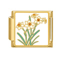 Narcisos blancos y amarillos
