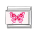 Mariposa del amor