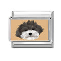 Perrito fondo beige