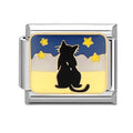 Gato viendo las estrellas