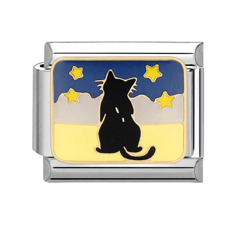 Gato viendo las estrellas